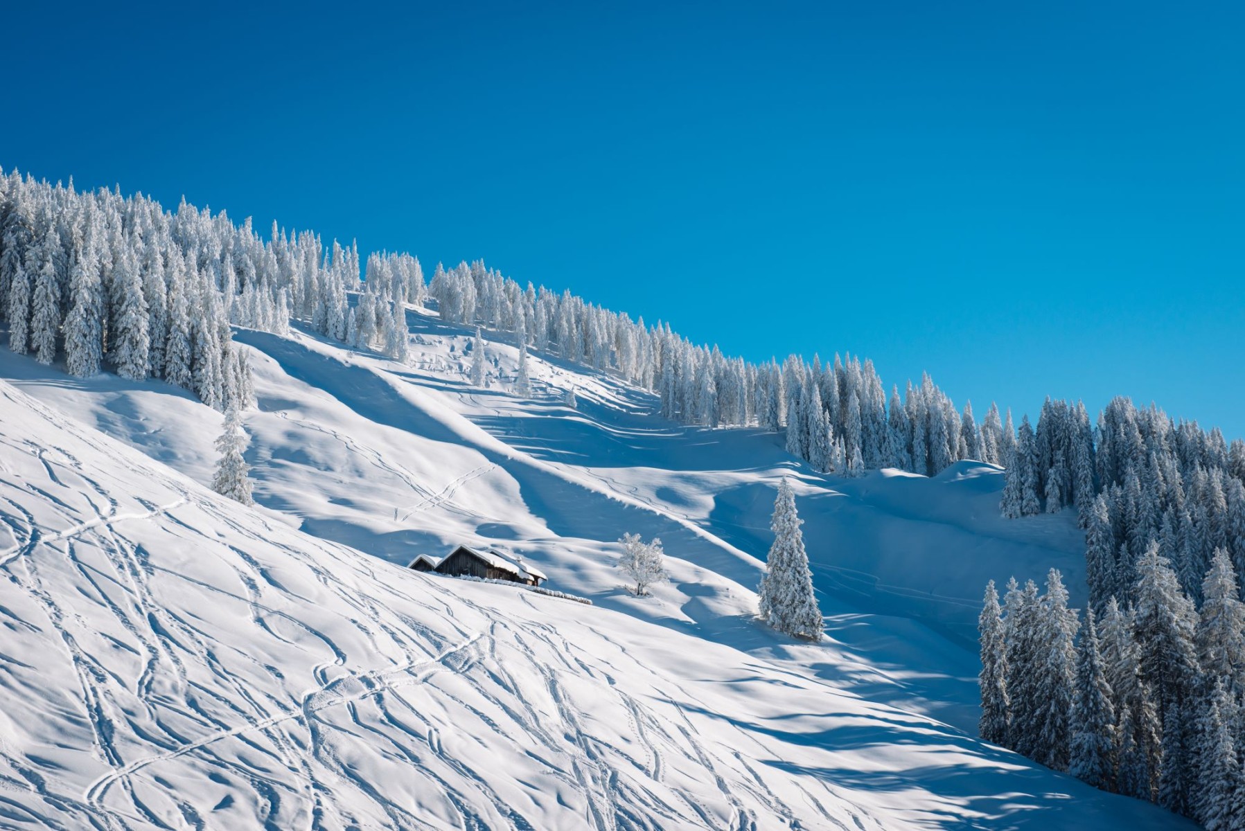 Winterlandschaft im Salzburger Land (c) Ski Amadé