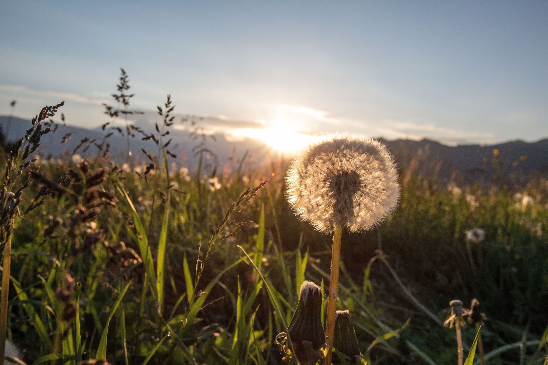 Ausblick Dachstein (c) Flachau Tourismus / Martin Stifter