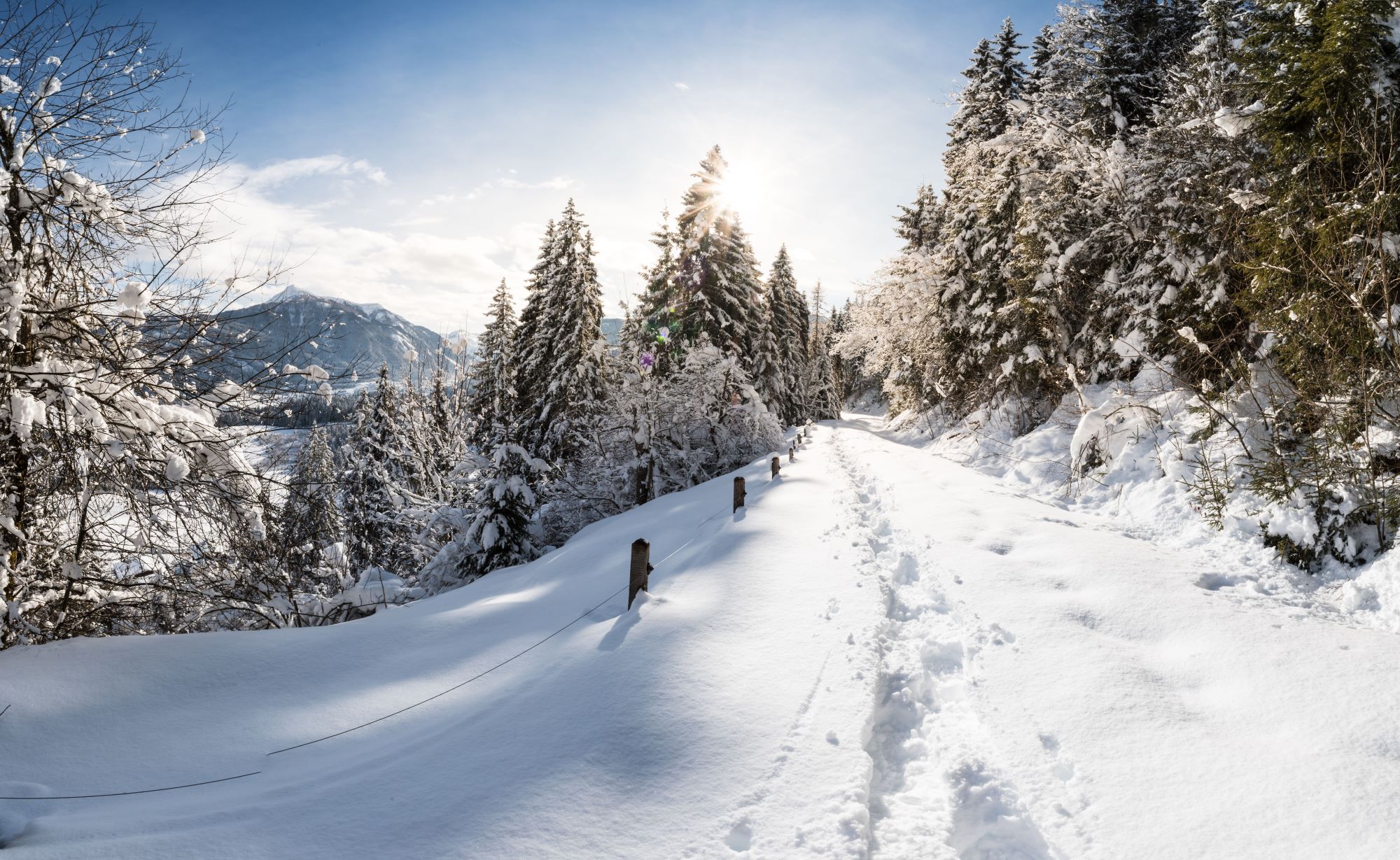 Winterlandschaft in Flachau (c) Flachau Tourismus / Verena Buchsteiner
