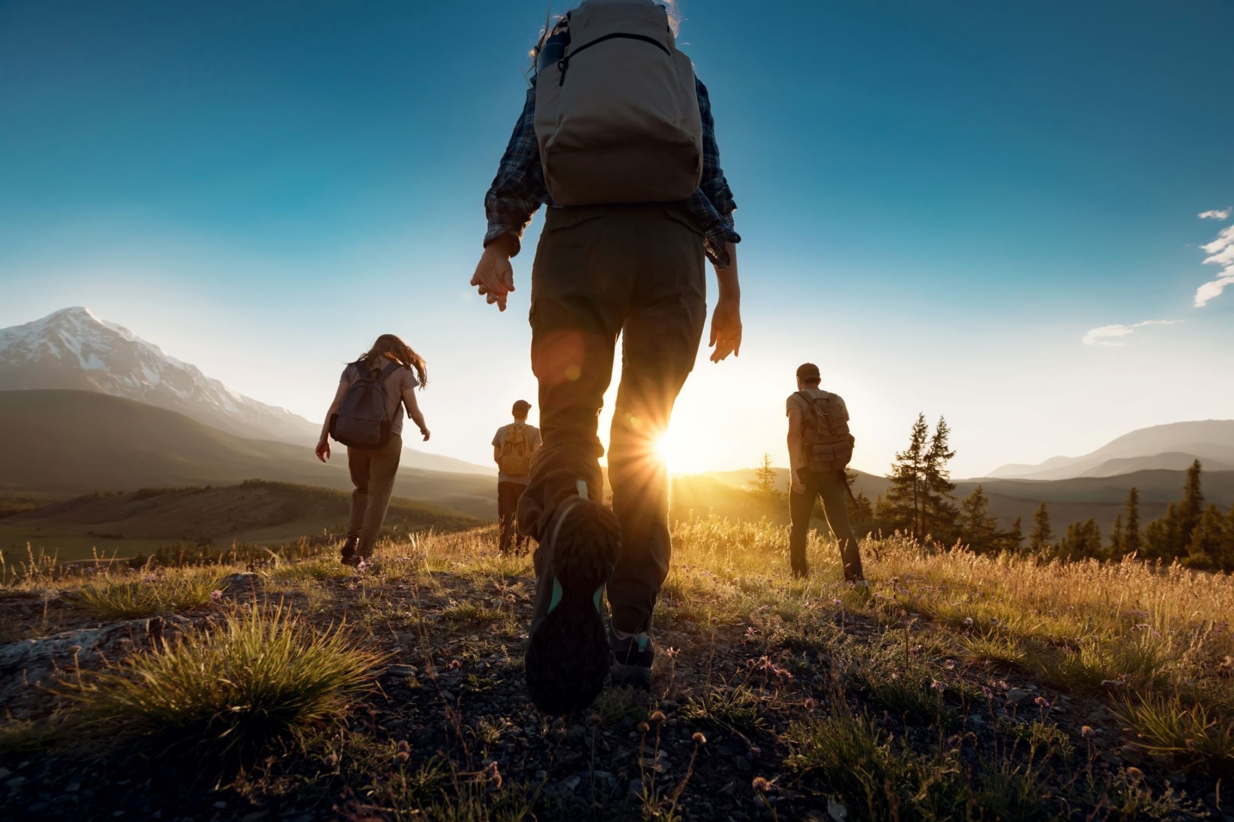 Wandern in Flachau